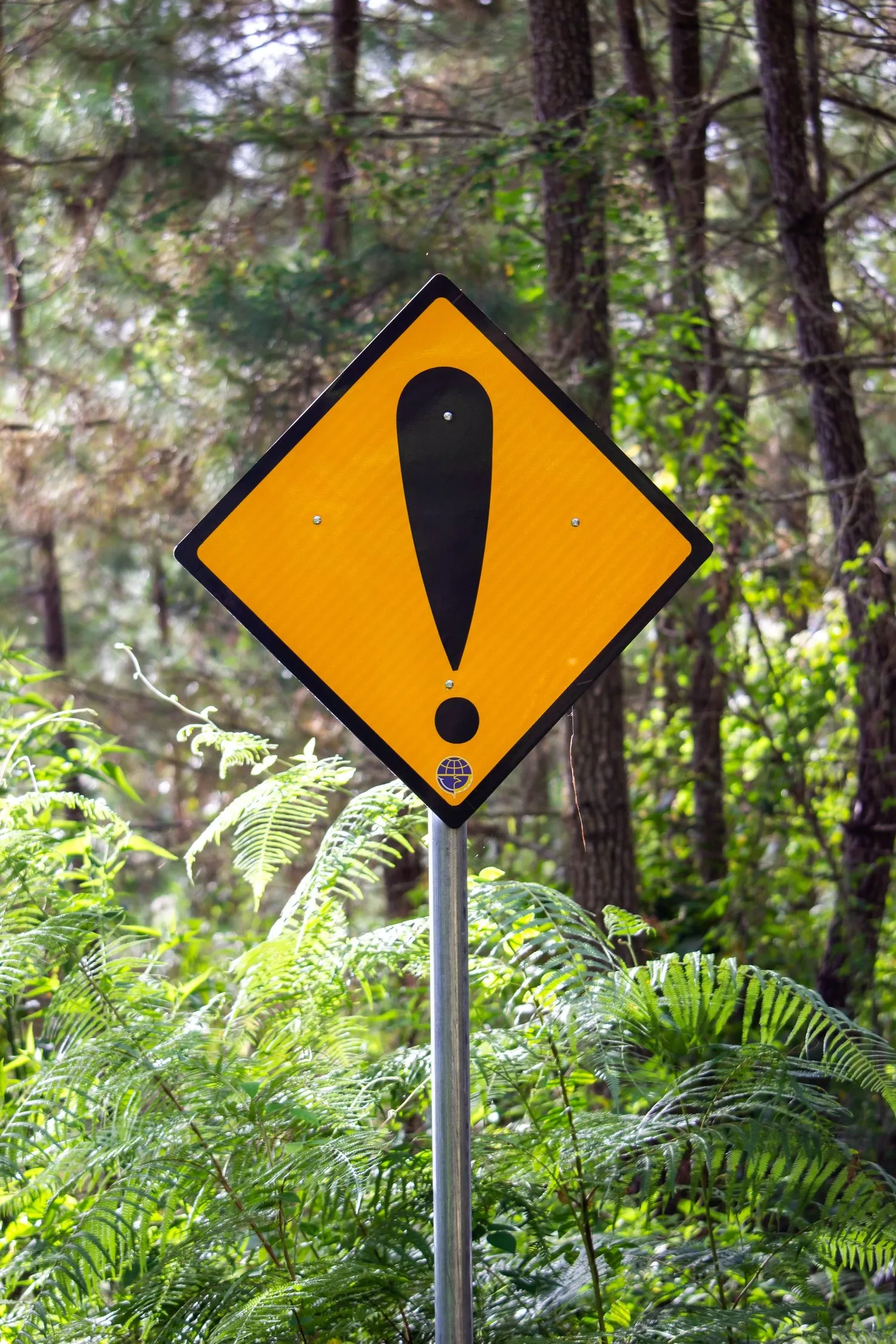 5 Sample Warning Letters to Employees for Excessive Talking